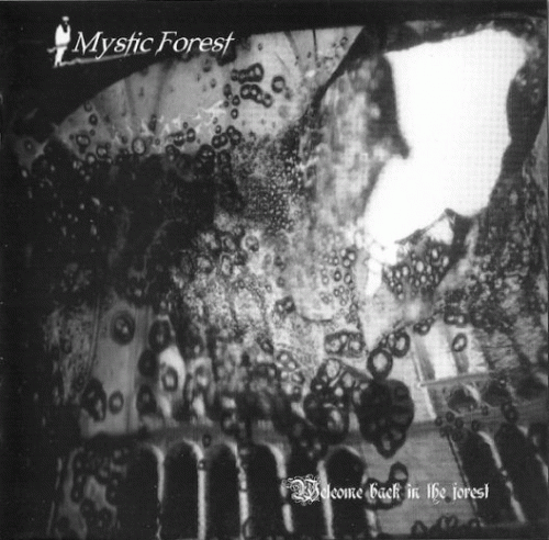 Mystic Forest : Welcome Back in the Forest